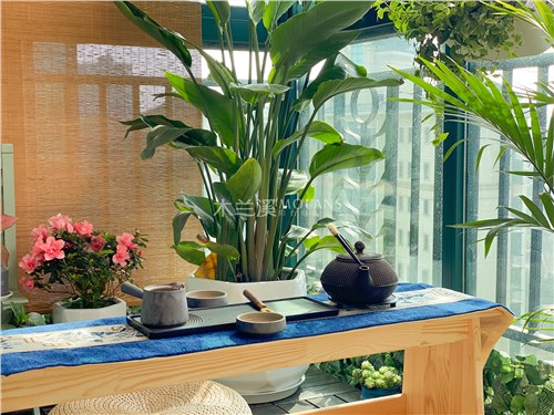 眾多品牌已紛紛涌入 陽臺定制或成家居行業新藍海